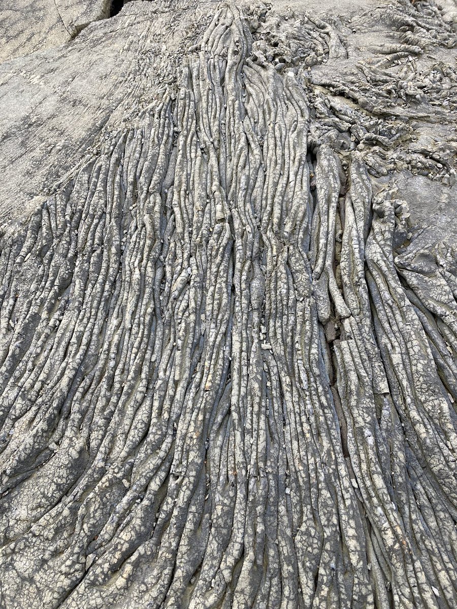 Our final stop was the incredible lava field from the Fagradalsfjall volcanic eruption in 2021. Off to the airport now @DTW_Education <a href="/mrdavidwatkins/">David Watkins 🌍</a> <a href="/sjcrmain/">St Joseph's College</a>
