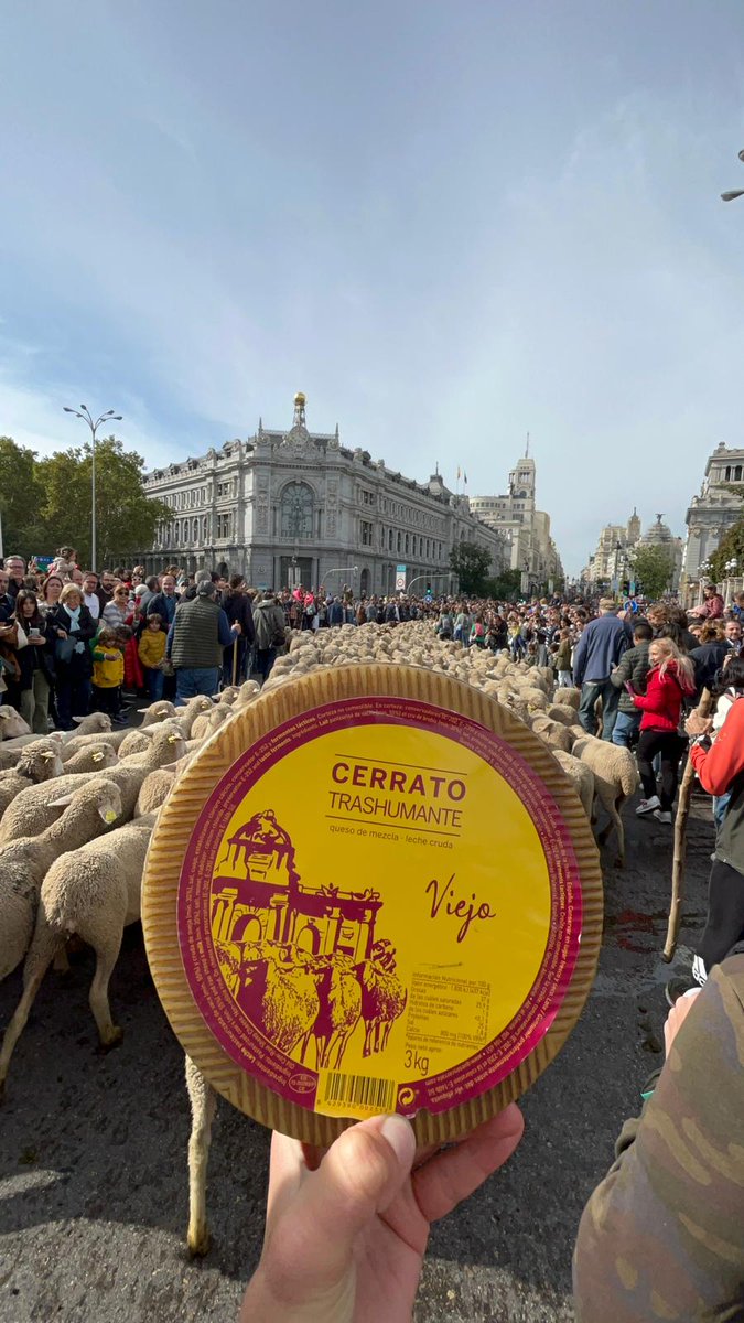 🐐🐑 Nuestro Cerrato Trashumante ha disfrutado de la Fiesta de la Trashumancia, en su XXX edición, que este año viene marcada por el 750 aniversario de la creación del Real Concejo de la Mesta.