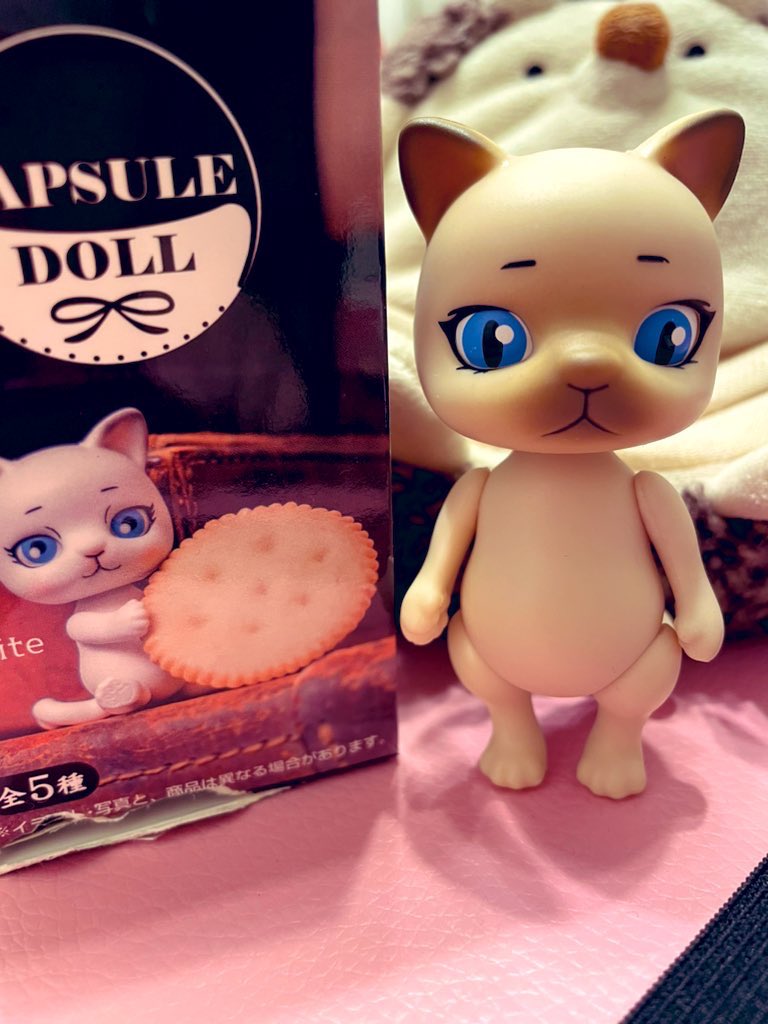 yuki56562's tweet photo. 池袋のアニメイトさんに行って来ました♪
シャムねこちゃんのふたごになりました😊💕 https://t.co/FzLNwOtVv0