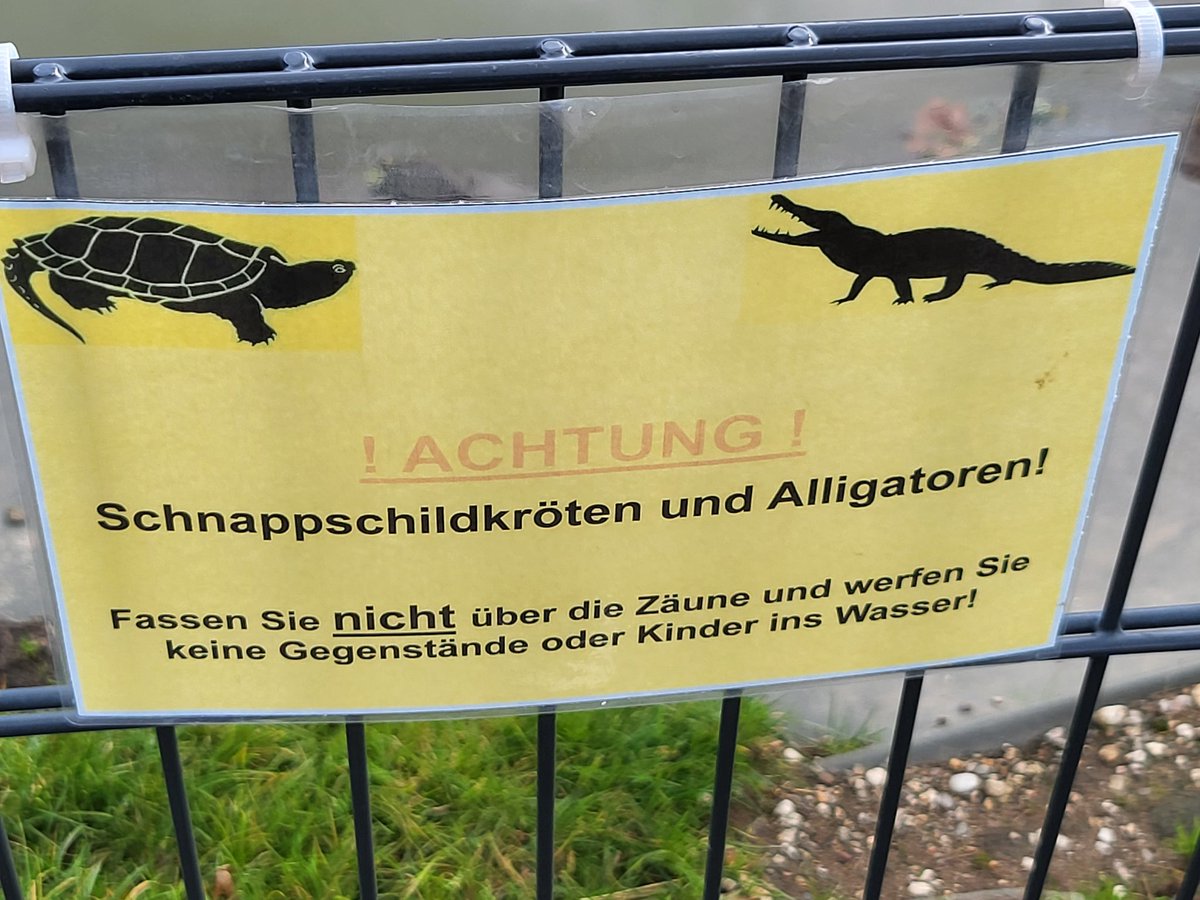 HDDA04's tweet photo. Sehr geiler Nachmittag in Rheibberg
#terrazoo https://t.co/xSEdrNpanf