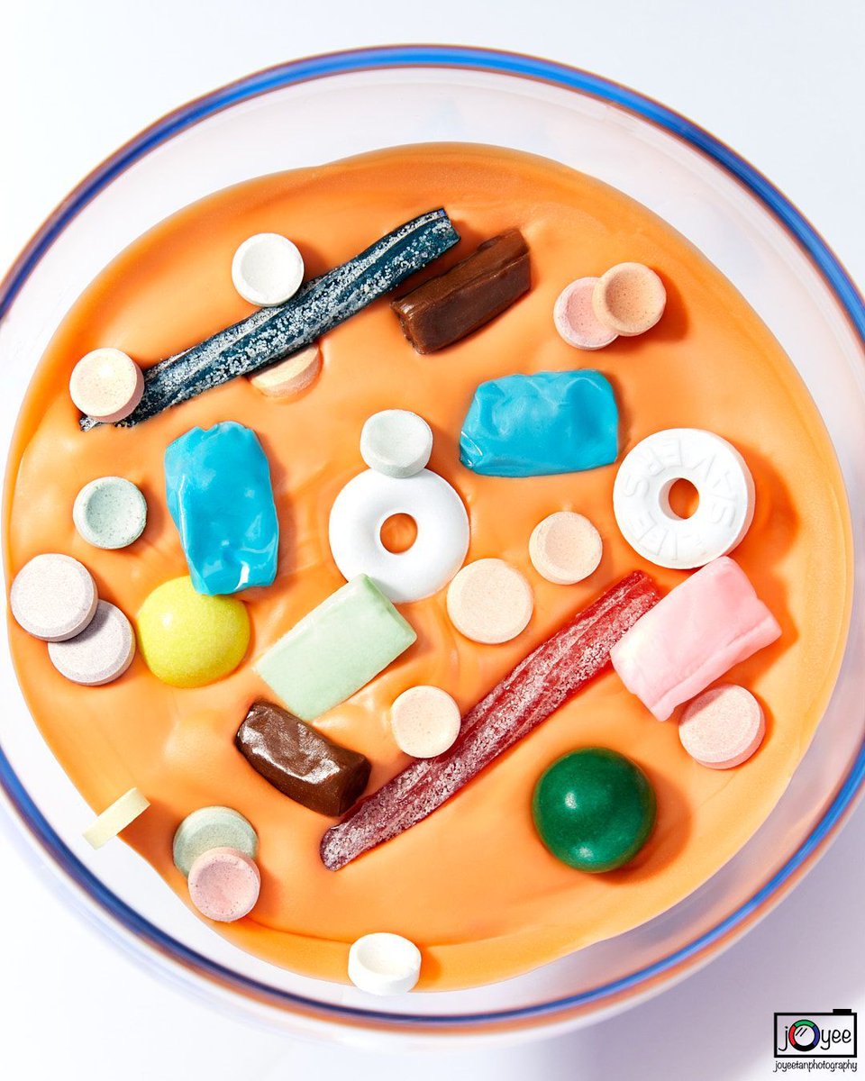 JoyeeTanPhotography tweet media