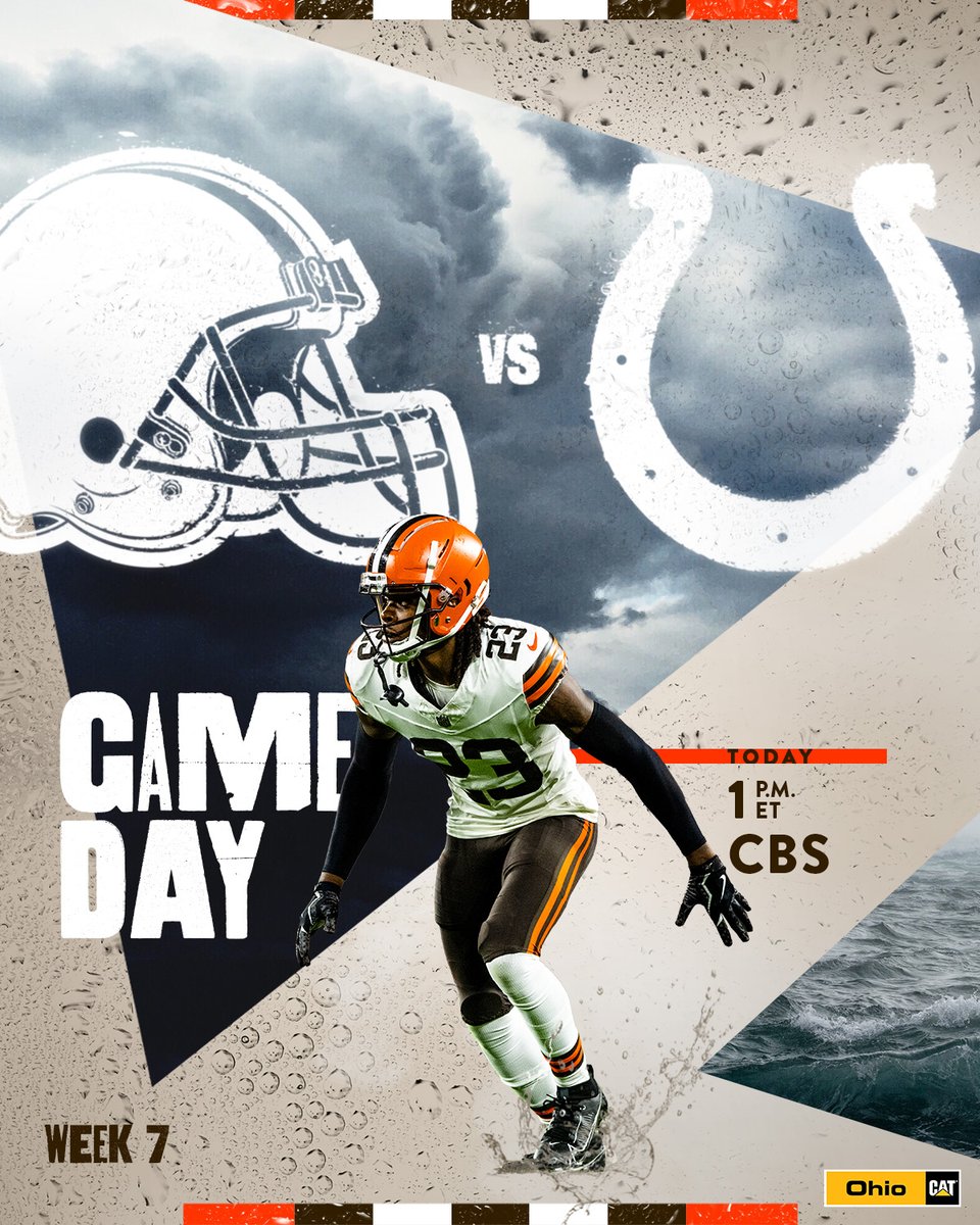 🐶 🆚 🐴