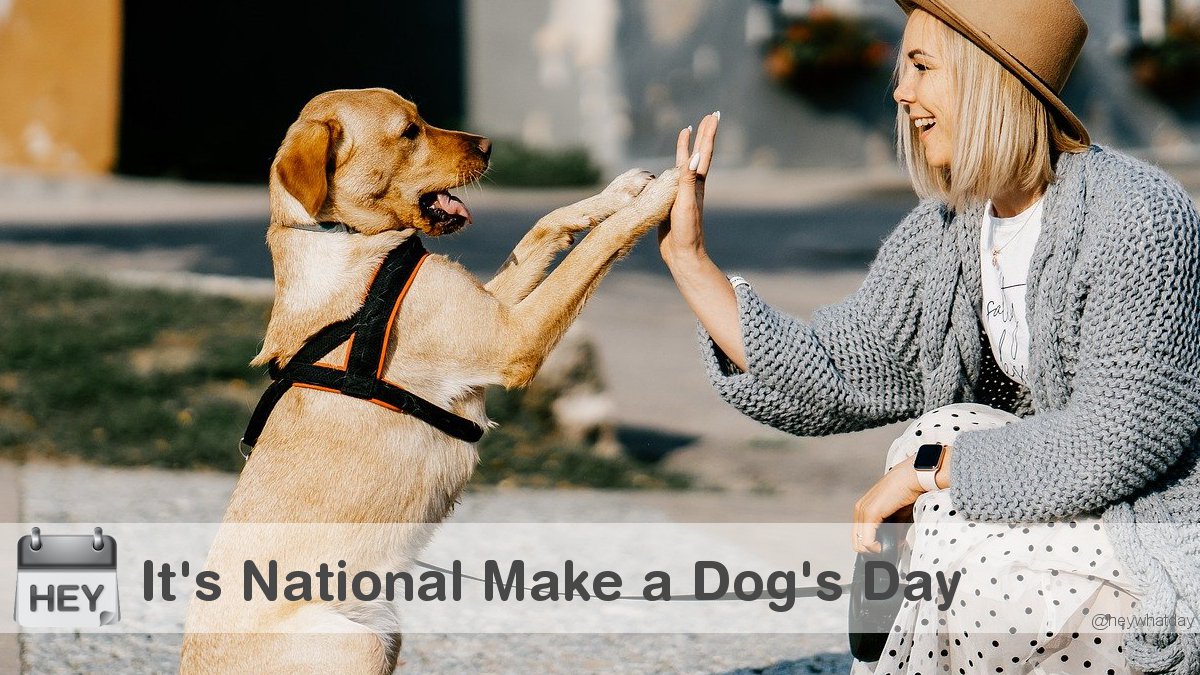 It's National Make a Dog's Day! 
#HappyPet #NationalMakeADogsDay #MakeADogsDay