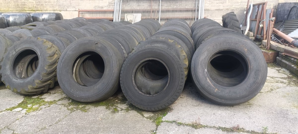 David Whelehan tweet media