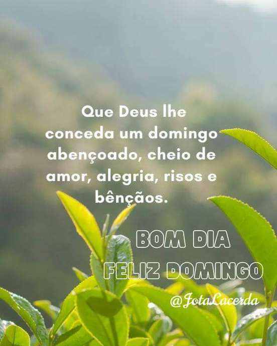 Prof. Particular Alex tweet media