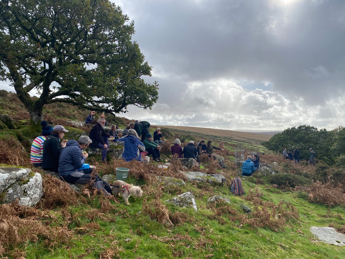 MoorTrees's tweet image. Volunteers taking a well earned break over lunch after a busy morning collecting acorns at Wistman’s Wood to grow on in our #tree #nurseries before planting out to #regenerate #woodland