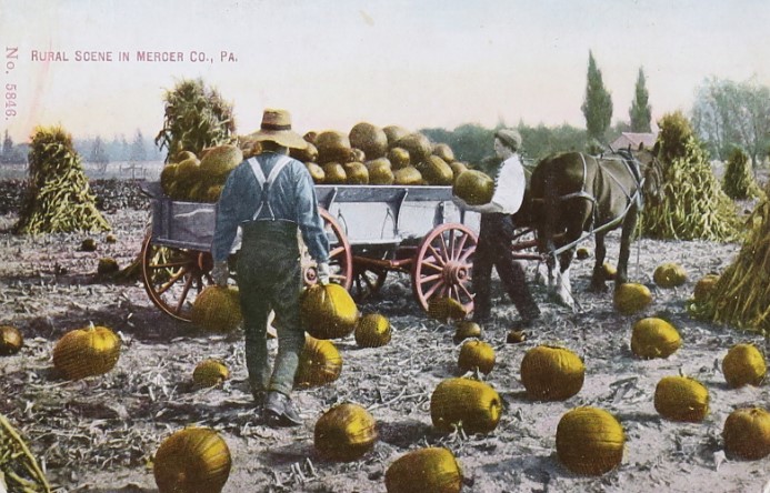 PHMC's tweet photo. Are you an early season pumpkin picker, or do you wait until now to show your fall spirit? This State #Archives #postcard depicts a Mercer County pumpkin patch in 1910. #FestiveFall๐- https://t.co/ZfiZxCWVNM https://t.co/3mhcbwGTXJ