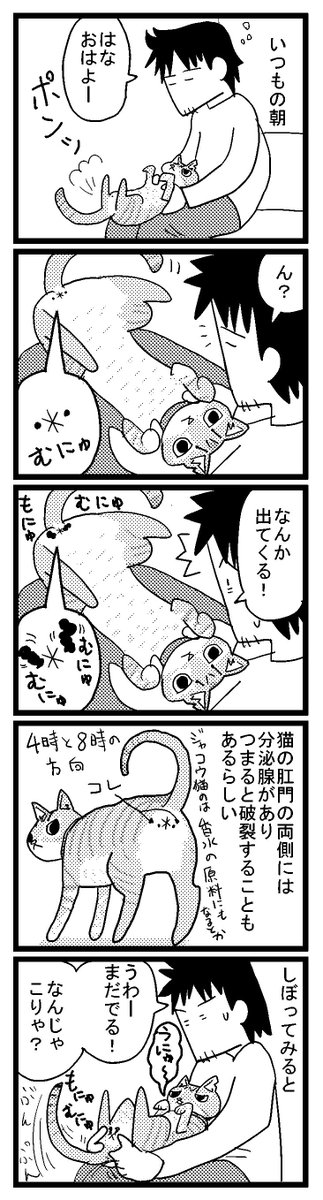 だからむにむに出て来たのか…