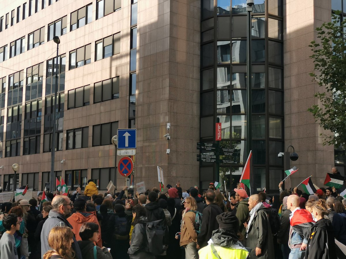 Gianpiero K D'Errico tweet media