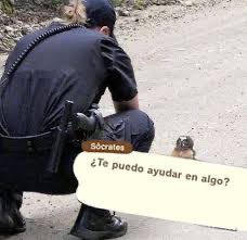 Canela_chair's tweet photo. Sócrates en animal crossing cuando entras al museo https://t.co/53OnQi20WU