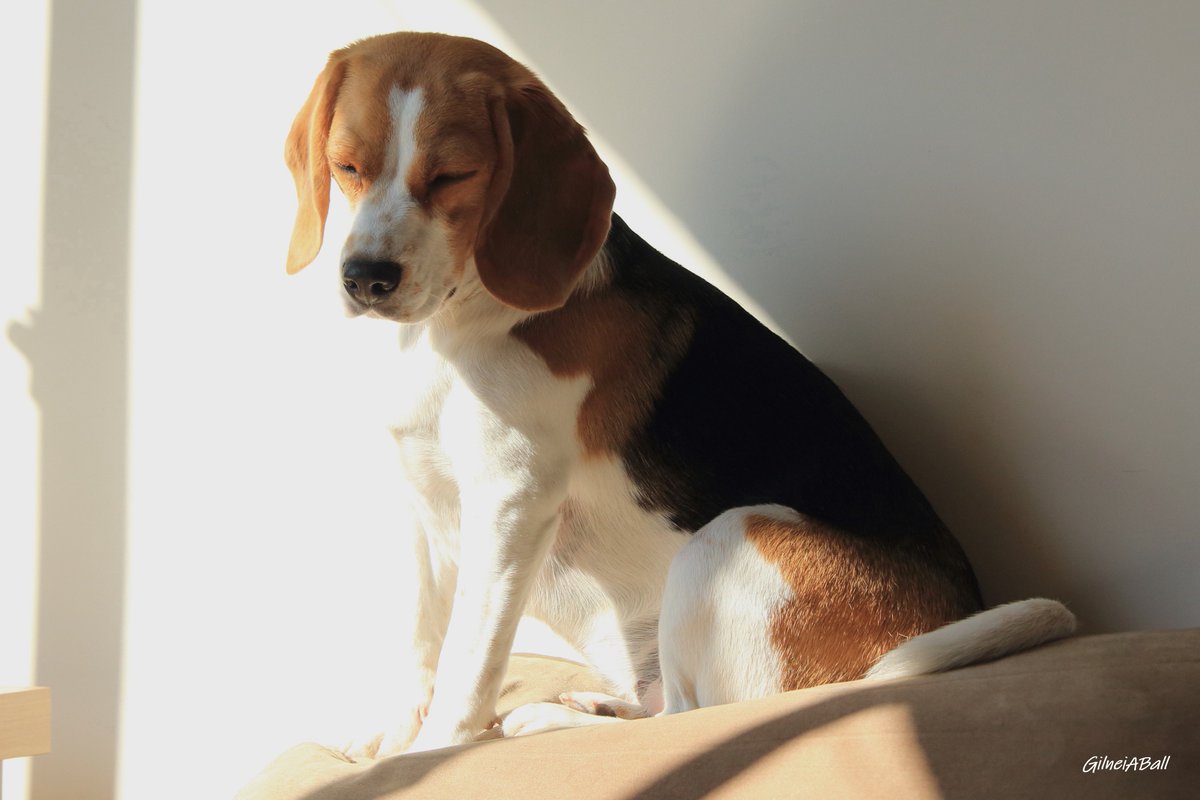 Nina - Sol de inverno.