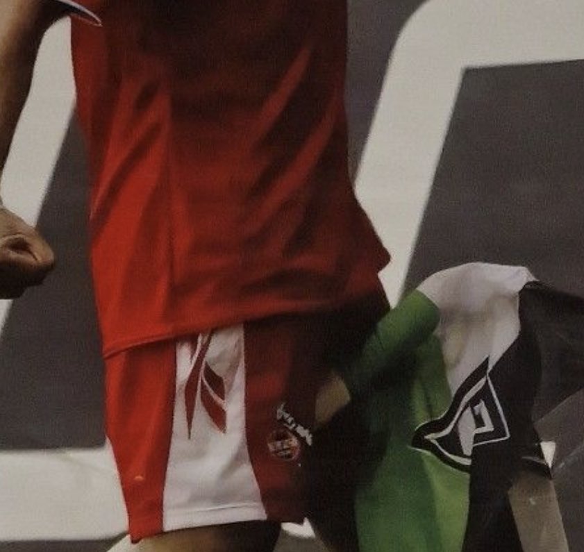 lostinnippes's tweet photo. #vflmerda https://t.co/HTIDtbG0TF