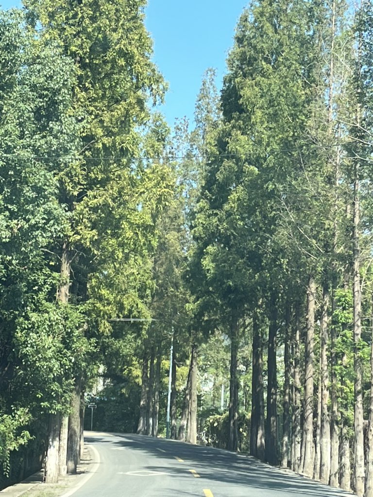 出差一路开车找项目一路找美食，吃了太多，唯一的运动就是干老婆了。连干那么多天好像已经干傻了，刚刚一直在抽搐发呆，他说半小时体会了三种不同的高潮，我真牛hhhh
🥲🥲🥲