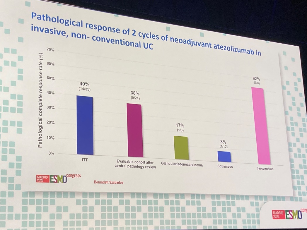 Jozefina Casuscelli tweet media
