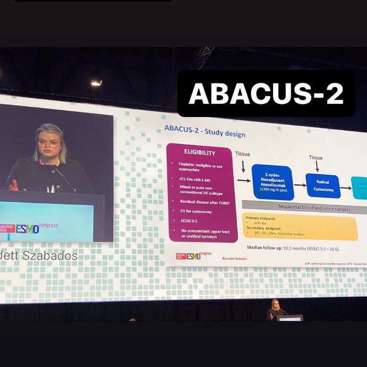 Jozefina Casuscelli tweet media