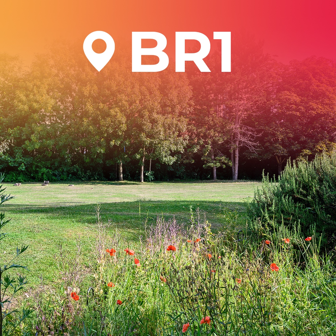 Morgan Sloane tweet media