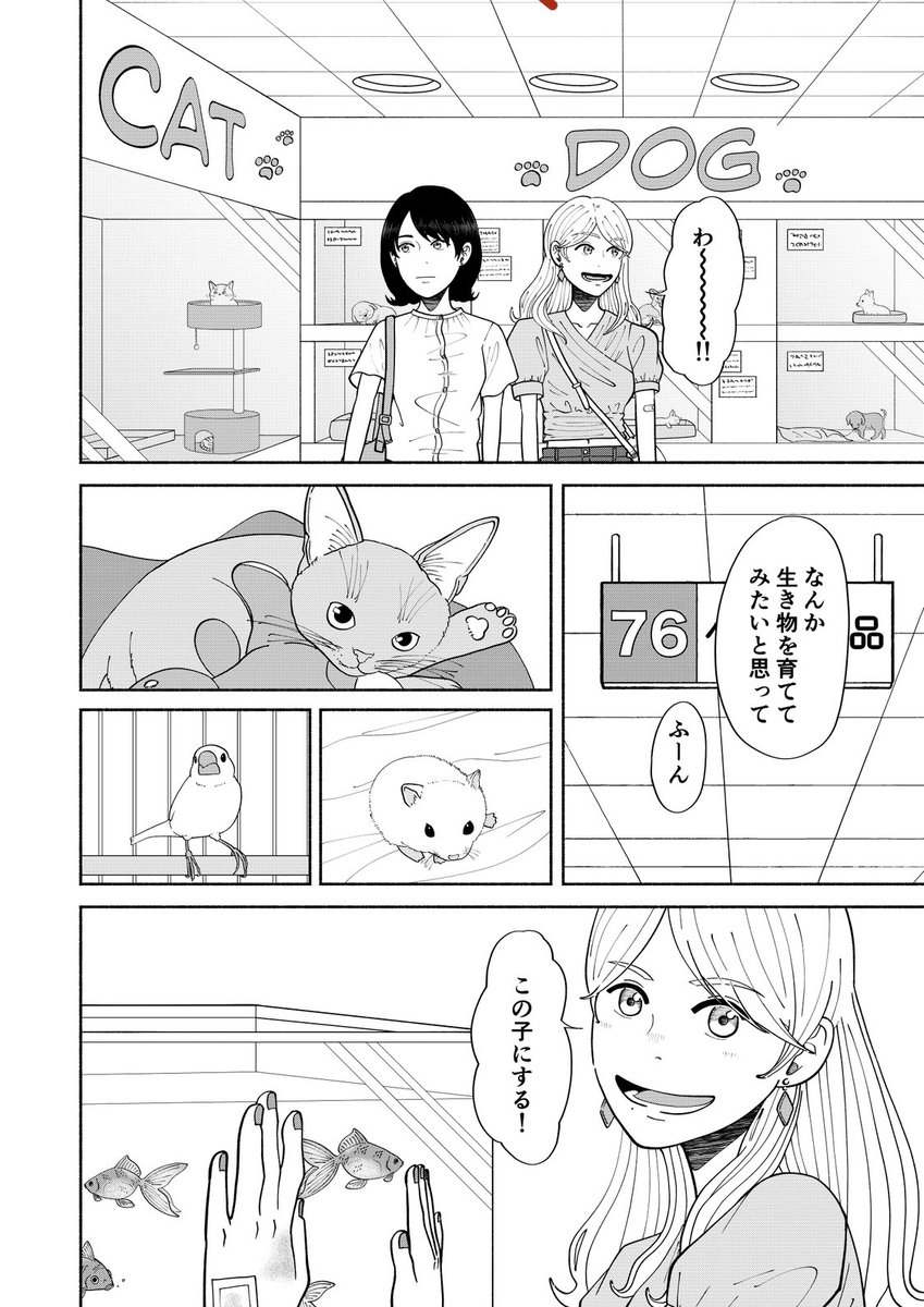 (5/10)