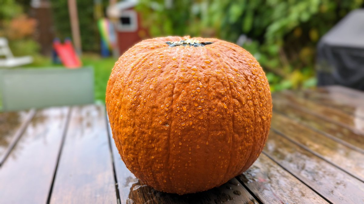 Kürbis nass. Egal. Leben geht weiter. 🎃