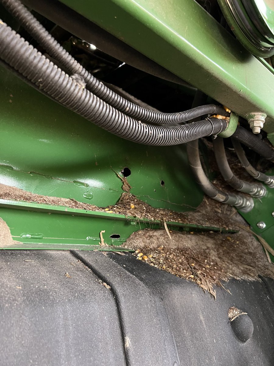 Tyler21Wood's tweet photo. @drew4955 @JohnDeere Found this on a 780 with 1300 separator. Had some down corn 3 years ago, took some dirt in. Deere is saying starting to a fair amount of this now. https://t.co/4NbInTkvnM