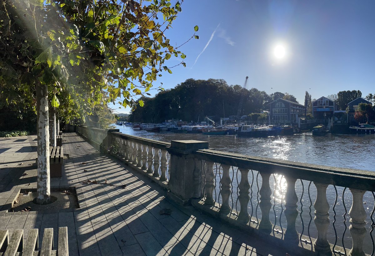 Lapping up Sunday morning sun in good old Twickers #autumnsun #morningsun #sittinginthemorningsun #twickenham #gardens #freshair #coffeetime #boats #houseboats #boatyard