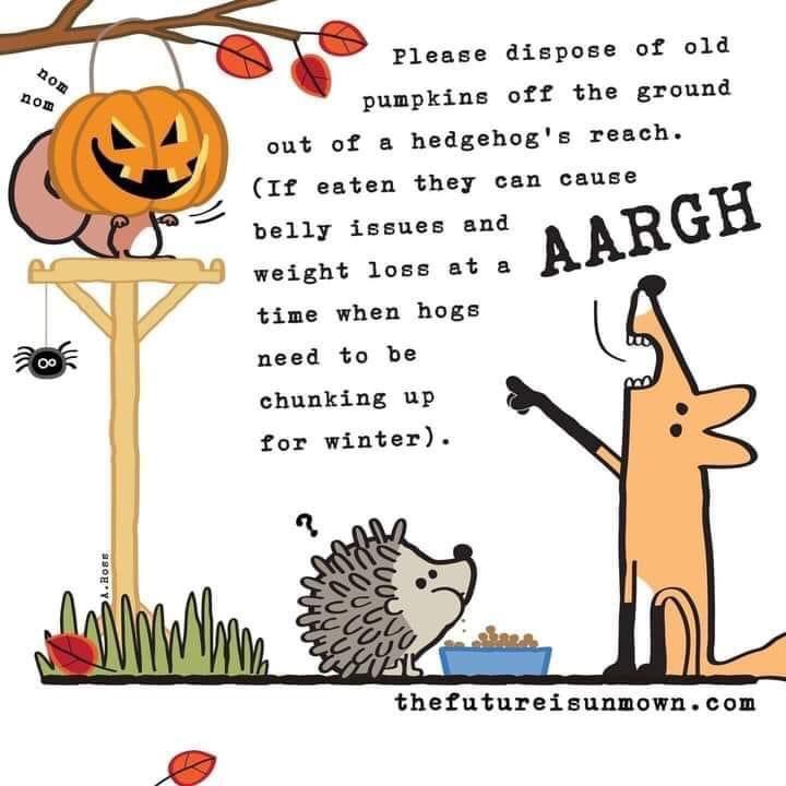 Annette Saunders tweet media