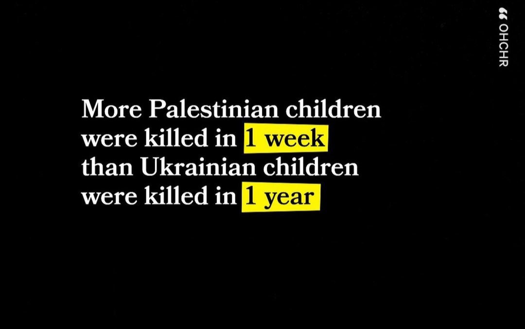 DimaAlhajYouse's tweet image. #gazage