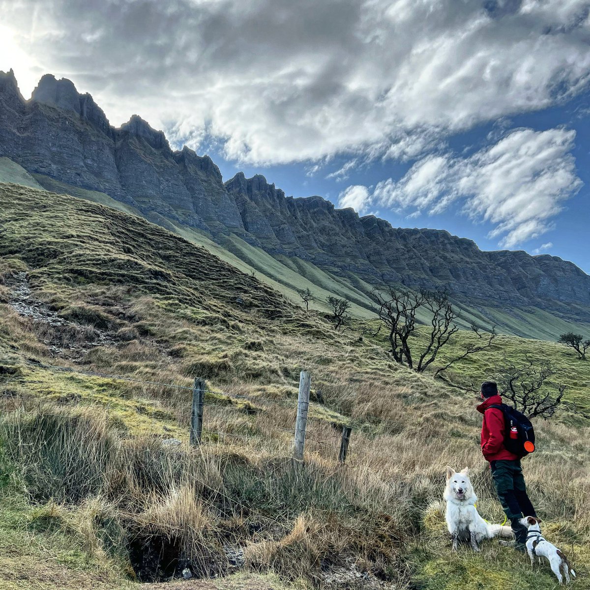 NI EXPLORER tweet media