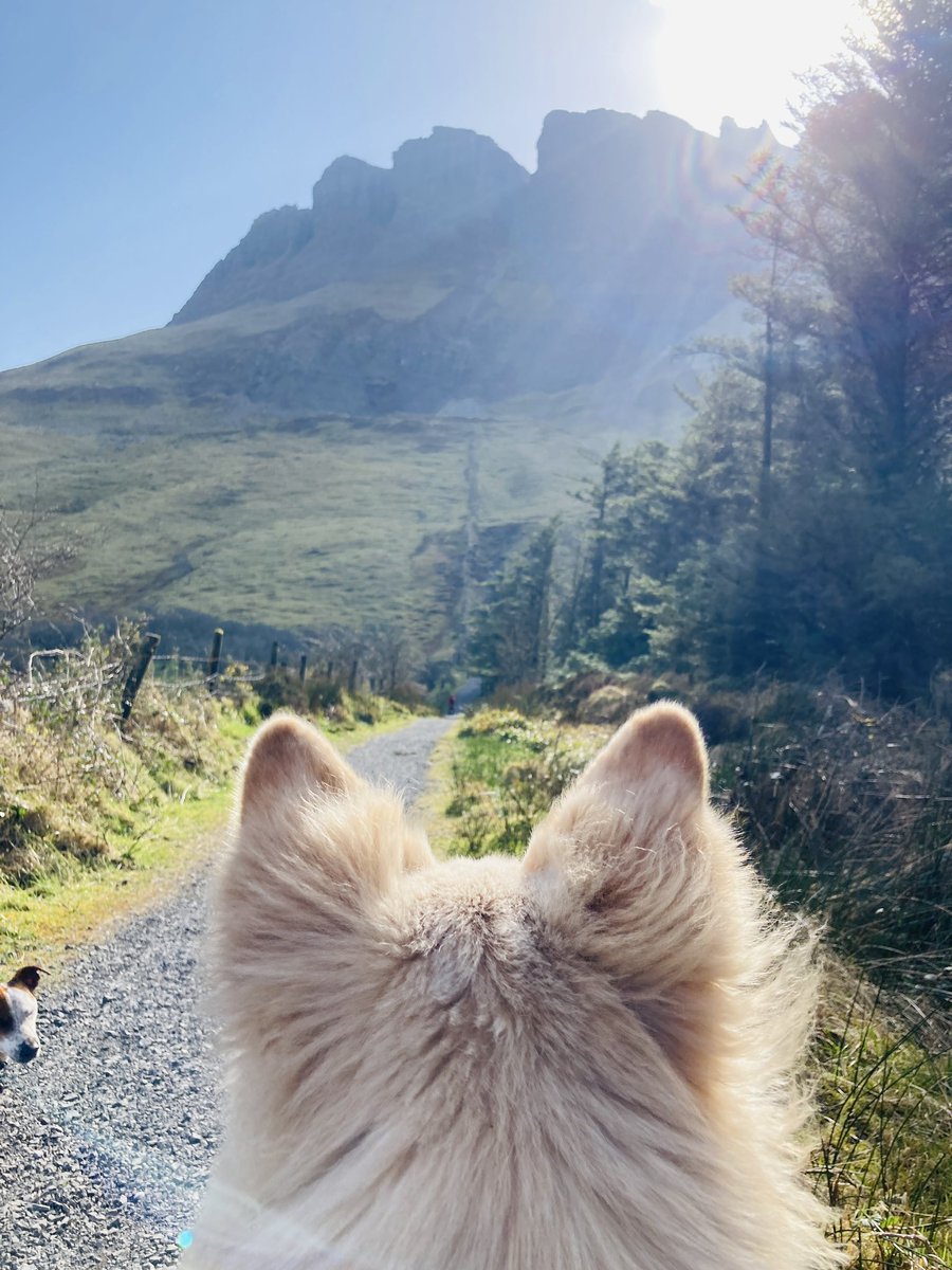 Welcome…to Jurassic Park 😮 Watch out for the Scoutasaurus and Chief-Rex 🦖 

We’ve driven past #Benbulben lots of times on the way down the #WildAtlanticWay, but this is the first we’ve got up close.

Next time - top of the mountain! ⛰️🥾 

👏 

#NIEXPLORER

📍#Sligo #Ireland