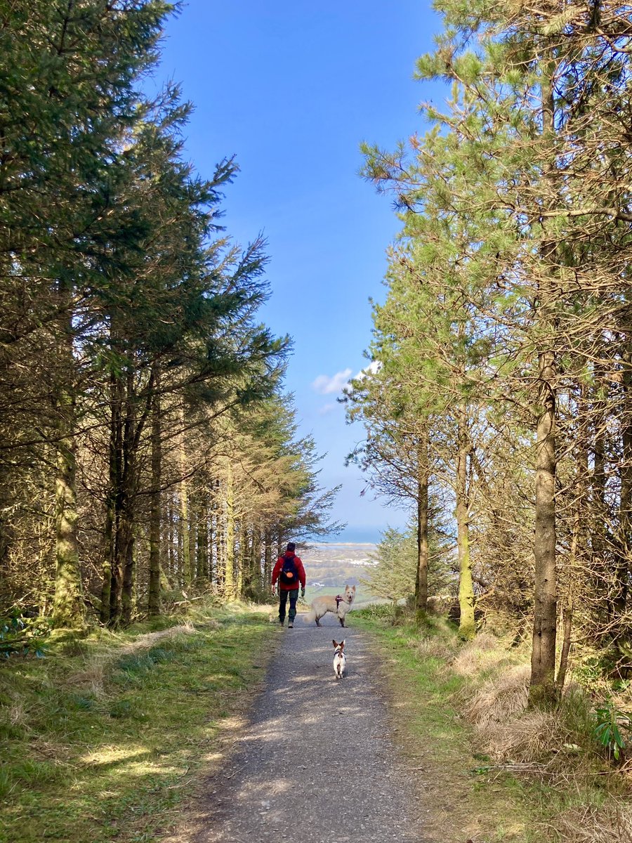 NI EXPLORER tweet media