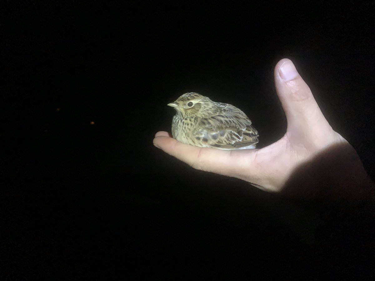 Robert Fisher tweet media