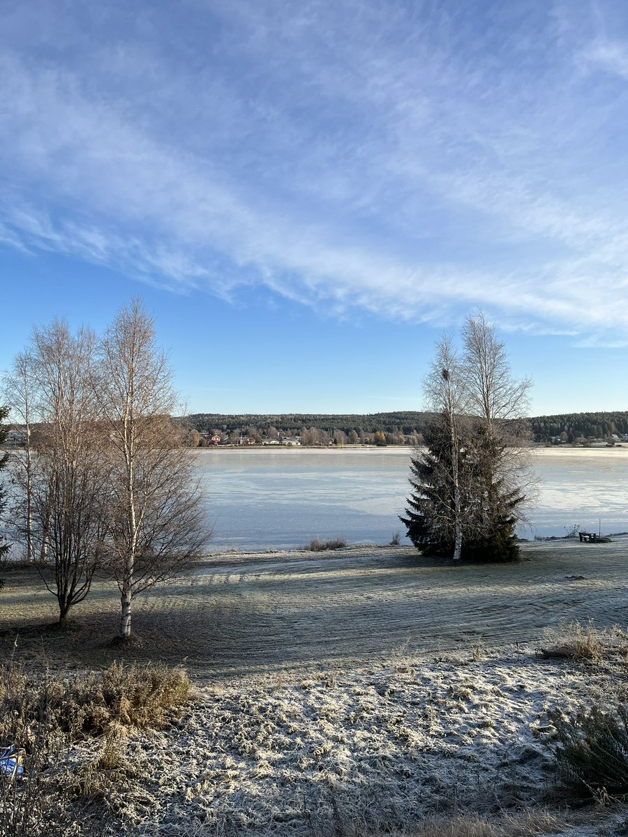 Béatrice Karjalainen tweet media