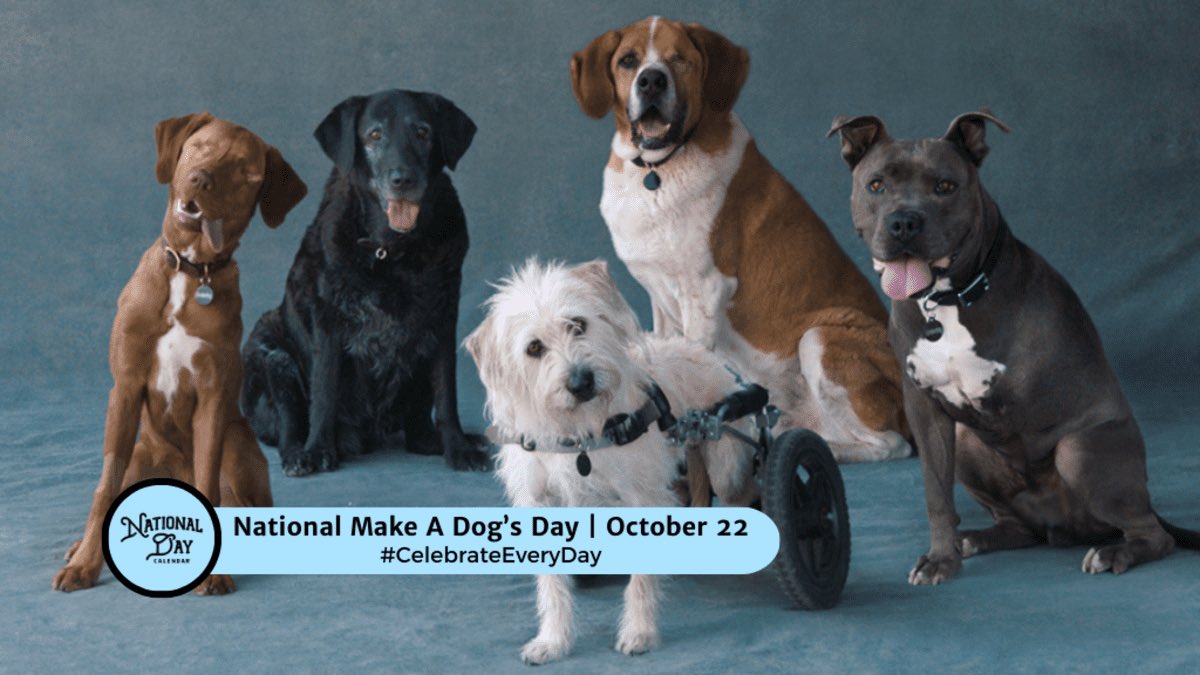 National Make A Dog’s Day on October 22 is a Subaru holiday that invites dog-lovers everywhere to go the extra mile for their pup. Today is a reminder to animal lovers everywhere to adopt a pet instead of buying a new one. In fact, we encourage everyone to visit a shelter to see…