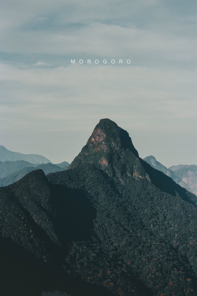 Kiranjaofgod's tweet photo. 1. BONDWA PEAK:
Si rahisi kufikika ni kila mtu sehemu hii kutokana na umbali na mwinuko wake.

Bondwa peak ni 2080mita kutoka usawa wa bahari na ni mwinuko mrefu kuliko yote kwenye safu ya milima ya uluguru.

Ukifika utajionea ndege wazuri,maua,ngedere n.k https://t.co/0DVyLCZGpm