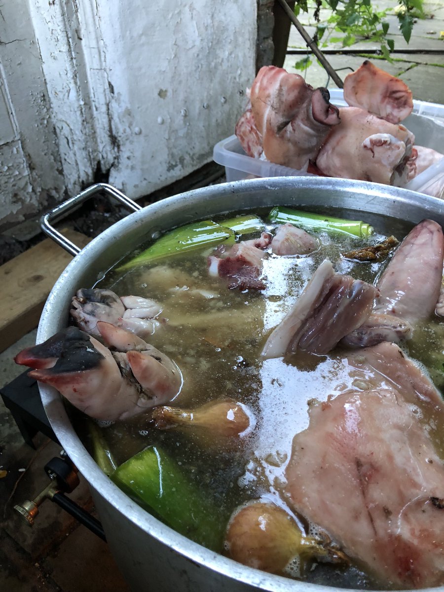 So much Stock to make- tails and trotters to make the jelly goodness #livepigging