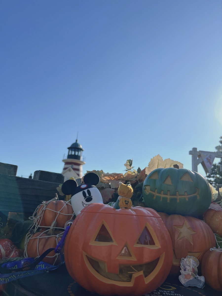ameeee_w's tweet photo. ハロウィンのディズニー楽しかった〜🎃👍🏻 https://t.co/ytvriJ1Nle