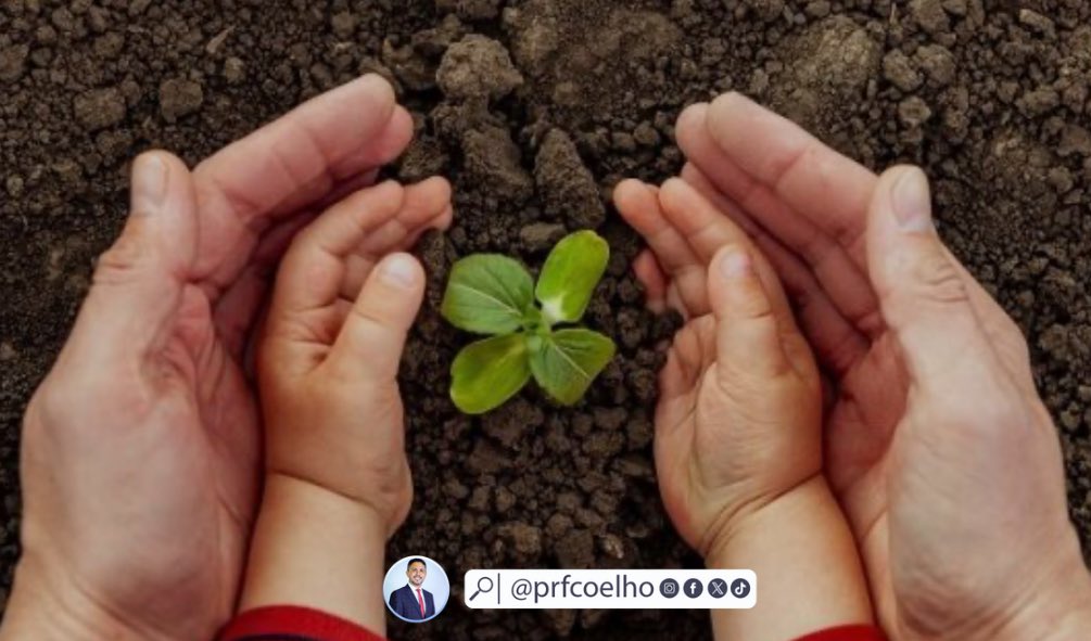 prfcoelho's tweet image. Pv 19
A disciplina é semelhante a um agricultor q semeia diligentemente as sementes e cuida do solo. Temos a responsabilidade de nutrir e guiar as mudas sob nossos cuidados. O solo de seus corações é tenro e as sementes q plantamos hoje darão frutos amanhã.
#Rpsp #Pv19 #Biblia