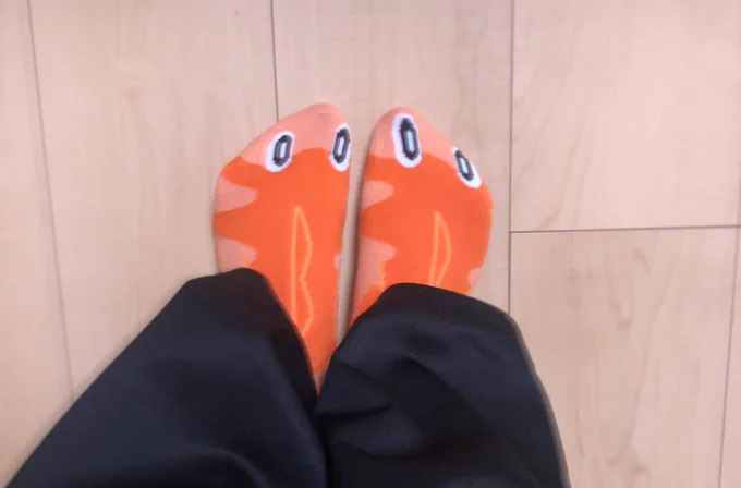 シャリタツの靴下買っちゃった〜 