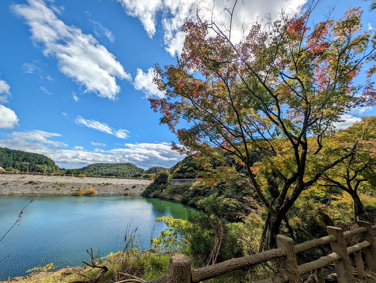 rpec09's tweet photo. First #hiking with #Pixel8Pro #TeamPixel #hikingadventures https://t.co/6ZAy9wz8OI