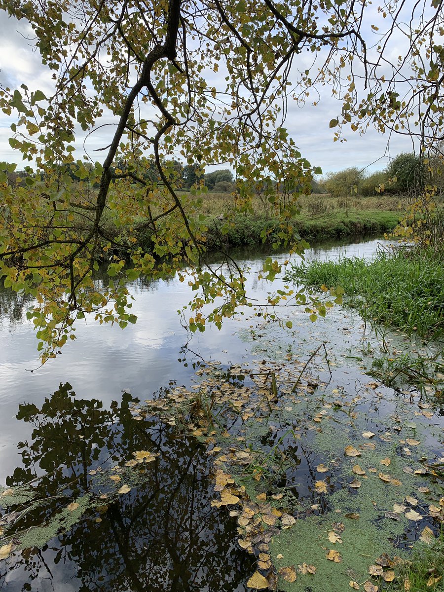 Headteacherchat's tweet image. 🍁Happy half term. ❤️
I hope it’s restful for you all 🍁