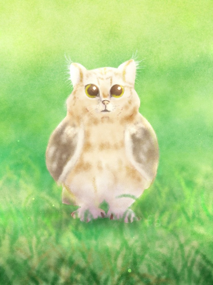 fjas_ari's tweet photo. Owt (owl cat)
#kidlitart #digitalart #illustration https://t.co/wp0tzvJd5G