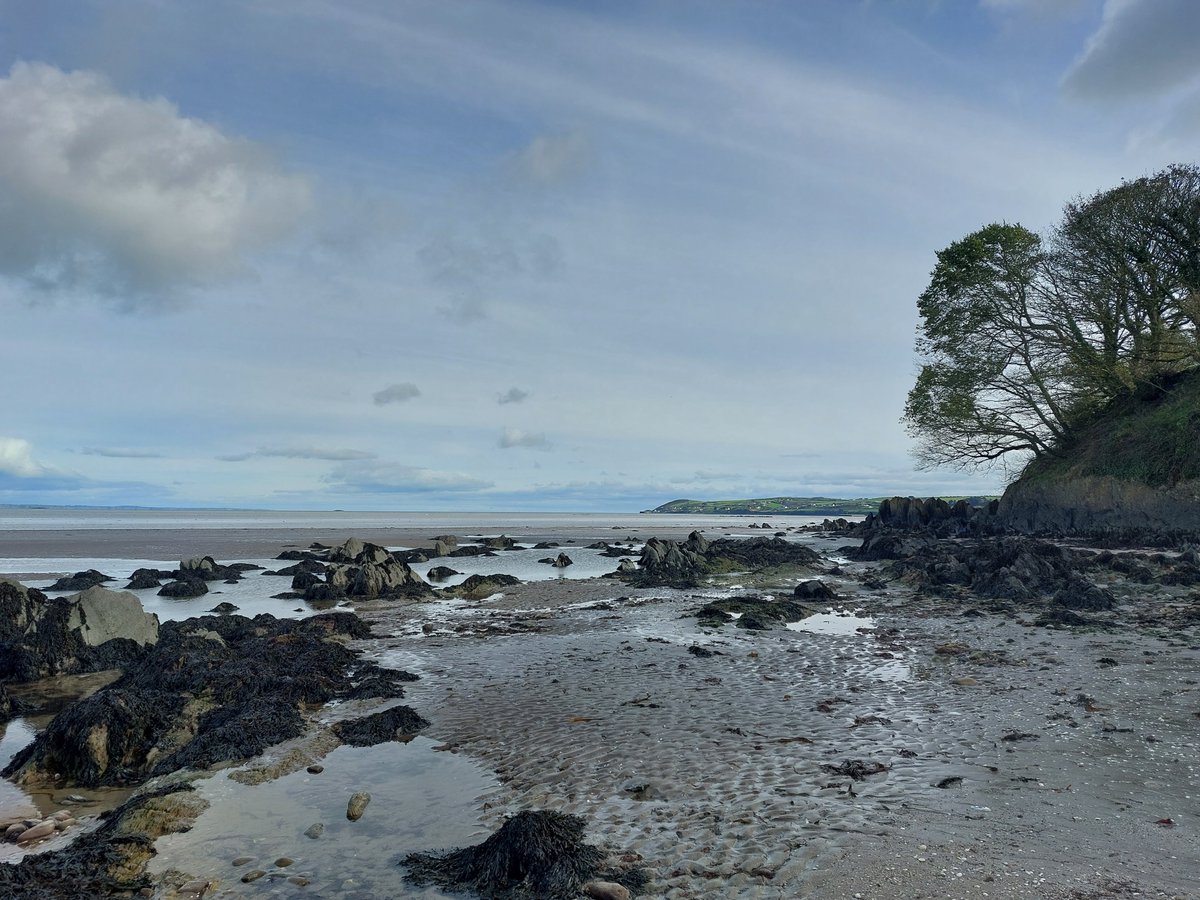 We enjoyed a nice walk on Tra Maoil a'Choirne near Joan Clancy Gallery yesterday afternoon.
#joanclancygallery #coastallandscapes #gaeltachtnandeise #visitwaterford #dungarvantourism #ElegantInteriors #ancoistefailte #CleanCoasts #cleancoastsireland