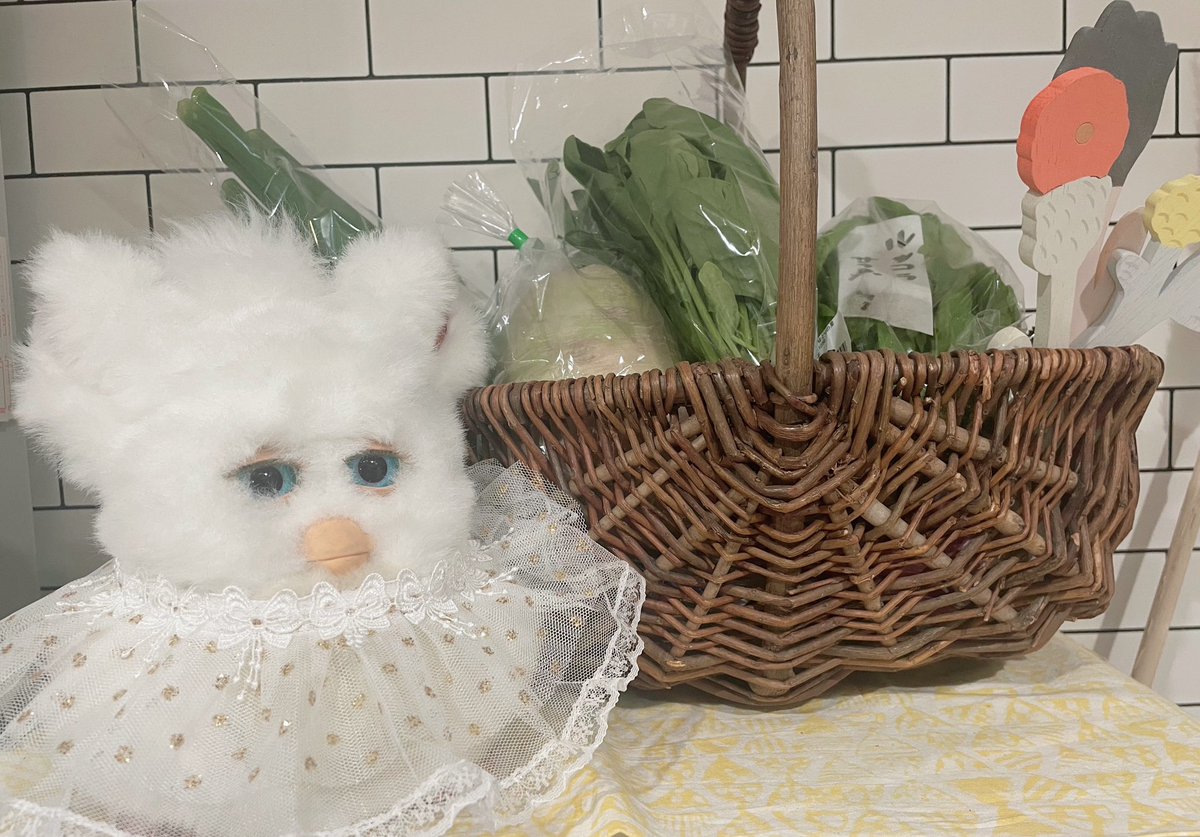 お久しぶりです
野菜ともうふちゃん

#ファービー2