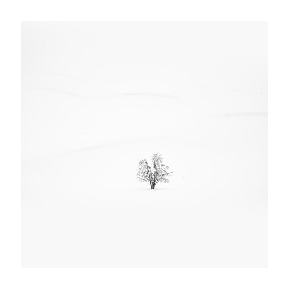 Arild Heitmann tweet media