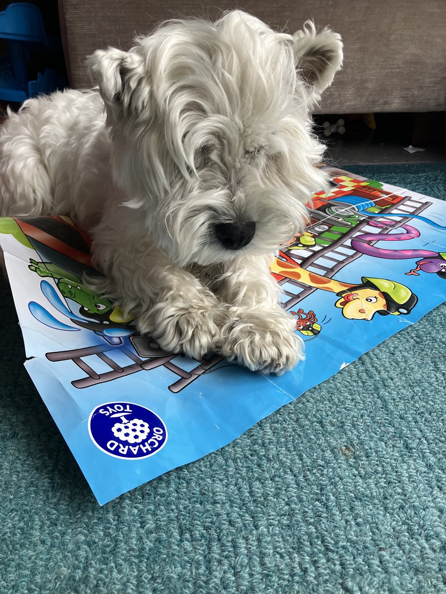#MyLastPicture Ella always loved the hoobros toys ❤️🌈