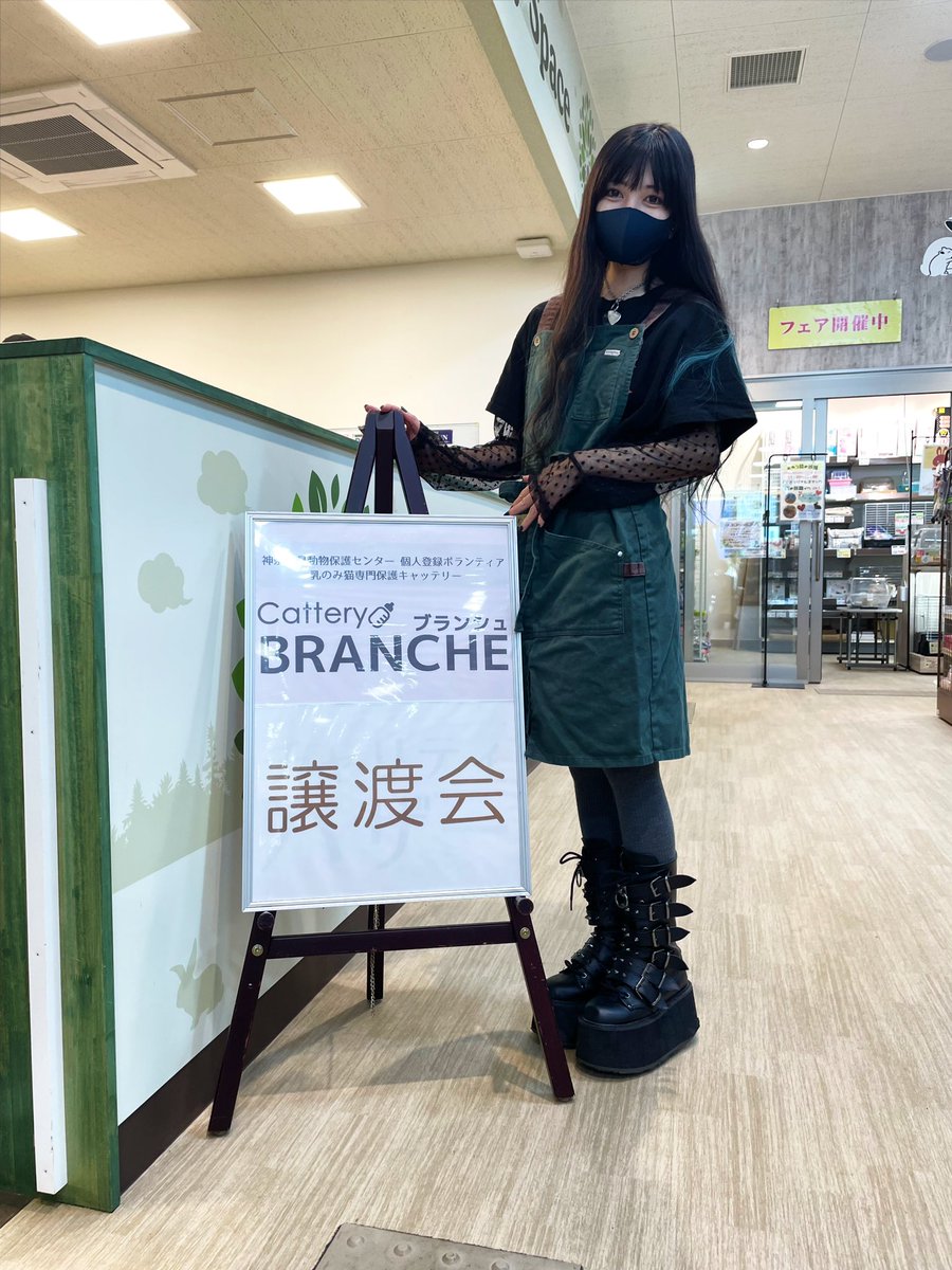 Shimashima108's tweet photo. 保護猫ちゃんの譲渡会にお邪魔してきました✨

調子に乗ってお手伝い（？）もさせて頂きました〜👏立ってただけだけど〜🤭 https://t.co/F2i8oV8SfS