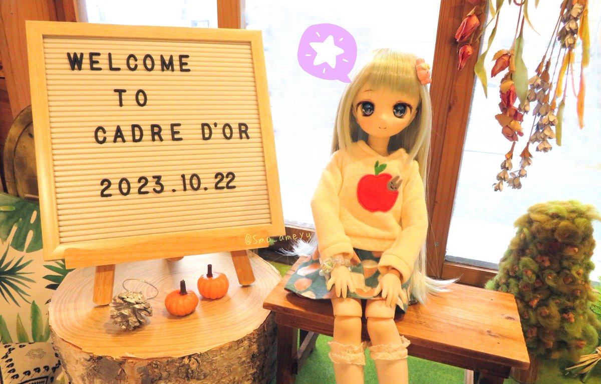 Smo_ameyu's tweet photo. ラストログインしてきました！
中々帰りたくない様子🥺たくさんの思い出があるもんね。
 #cadredor 様、ありがとうございました。 https://t.co/IATTTfd4FT