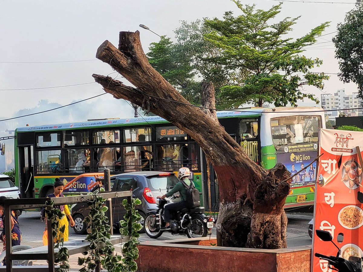 sagi_occ's tweet photo. Location: opp. Chaurang Residency/ Gliding Center, On Saswad Road, #Hadapsar in @PMCPune limits

1. 🔥 for burning Garbage is Polluting the already polluted #Pune City

2. This is what happens to Tree Cutting/ Transplant/ Trimming 

What is the #PuneGarden #TreeAuthority doing? https://t.co/5nGF4nr7uV