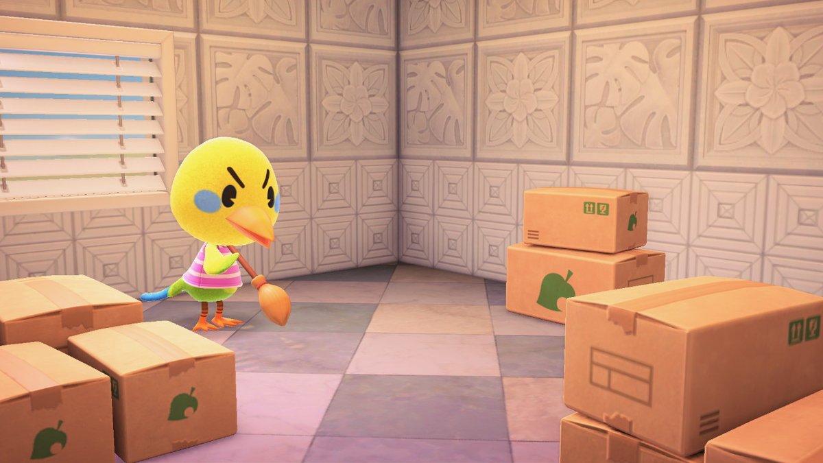 AreiaCm's tweet photo. Como Espacio ya la ha conseguido por otro lado, ¿alguien quiere adoptar a Tití?
#VecinoEnCajas #VillagerInBoxes
Twiggy in boxes today! Free and ungifted! https://t.co/ZdiaKhOJzv
