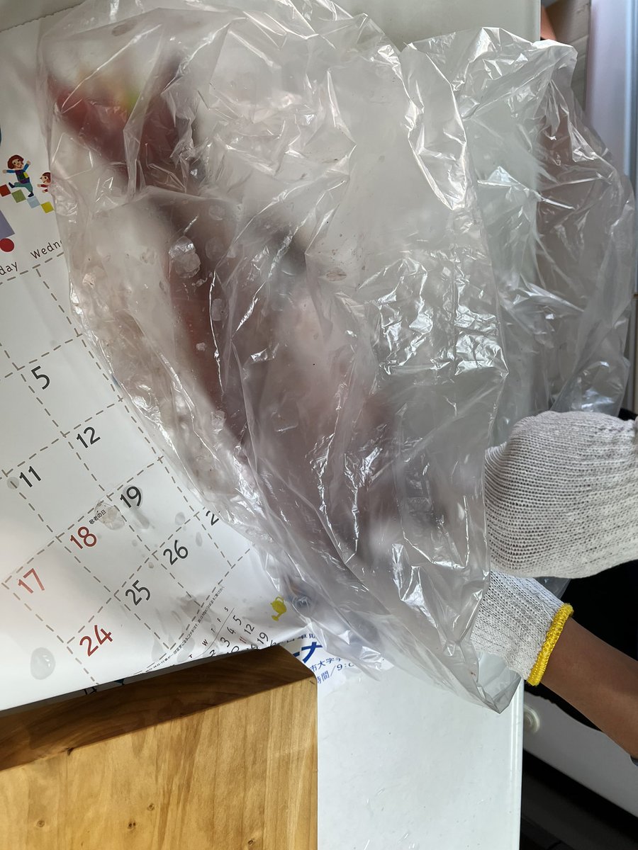 zz_katze's tweet photo. アラカブ1のみ😂
コンコンコンて来て合わせる用意してたら喰わず落とし直したらすぐコンコンコンと来て合わせたらアラカブ25センチくらい…🎣
写真は甥っ子の40オーバーのタイの鱗落とし中、初めての3枚おろしからの鯛茶漬けをご馳走になり帰りました。親父と甥っ子3人で鯛3アラカブ2😇🎣 https://t.co/BtzRMsi1kM