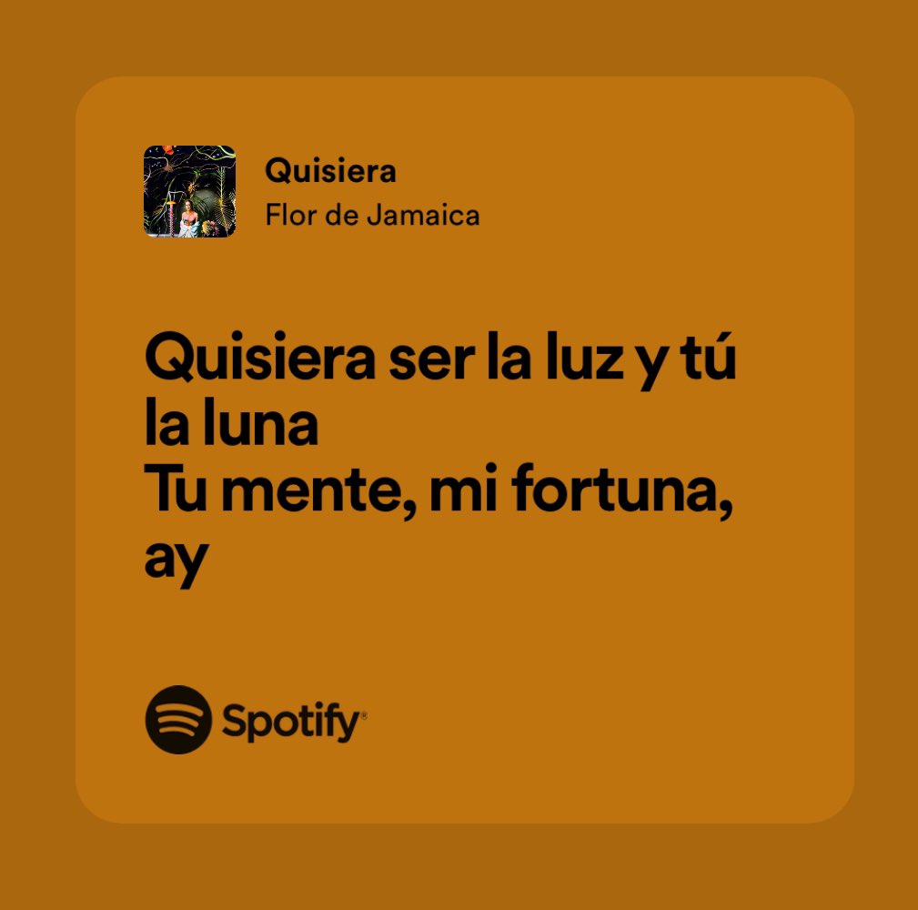 Lluna Valls 🐜 tweet media